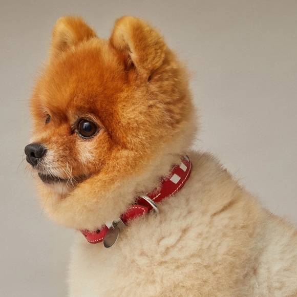 Hermes Tresse dog collar - Picture 6 of 7